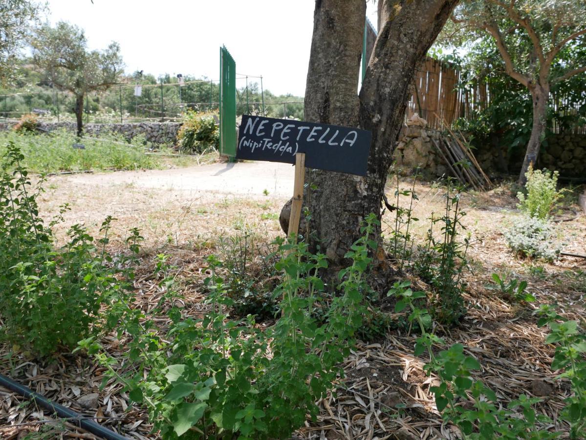 הוילה Sortino Pantalica Ranch Agriturismo Siciliano מראה חיצוני תמונה