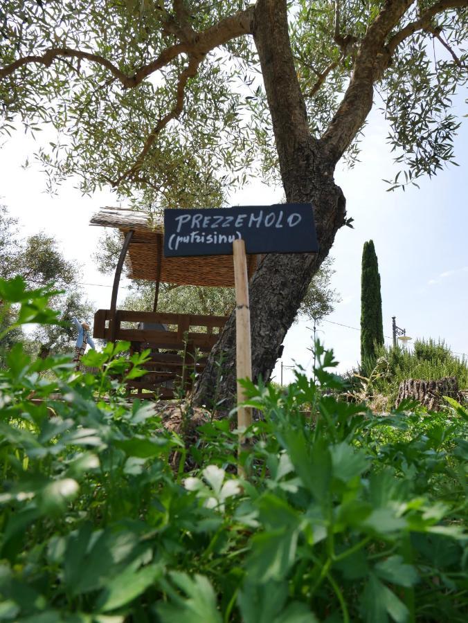 הוילה Sortino Pantalica Ranch Agriturismo Siciliano מראה חיצוני תמונה
