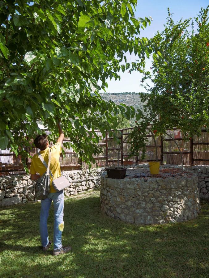 הוילה Sortino Pantalica Ranch Agriturismo Siciliano מראה חיצוני תמונה
