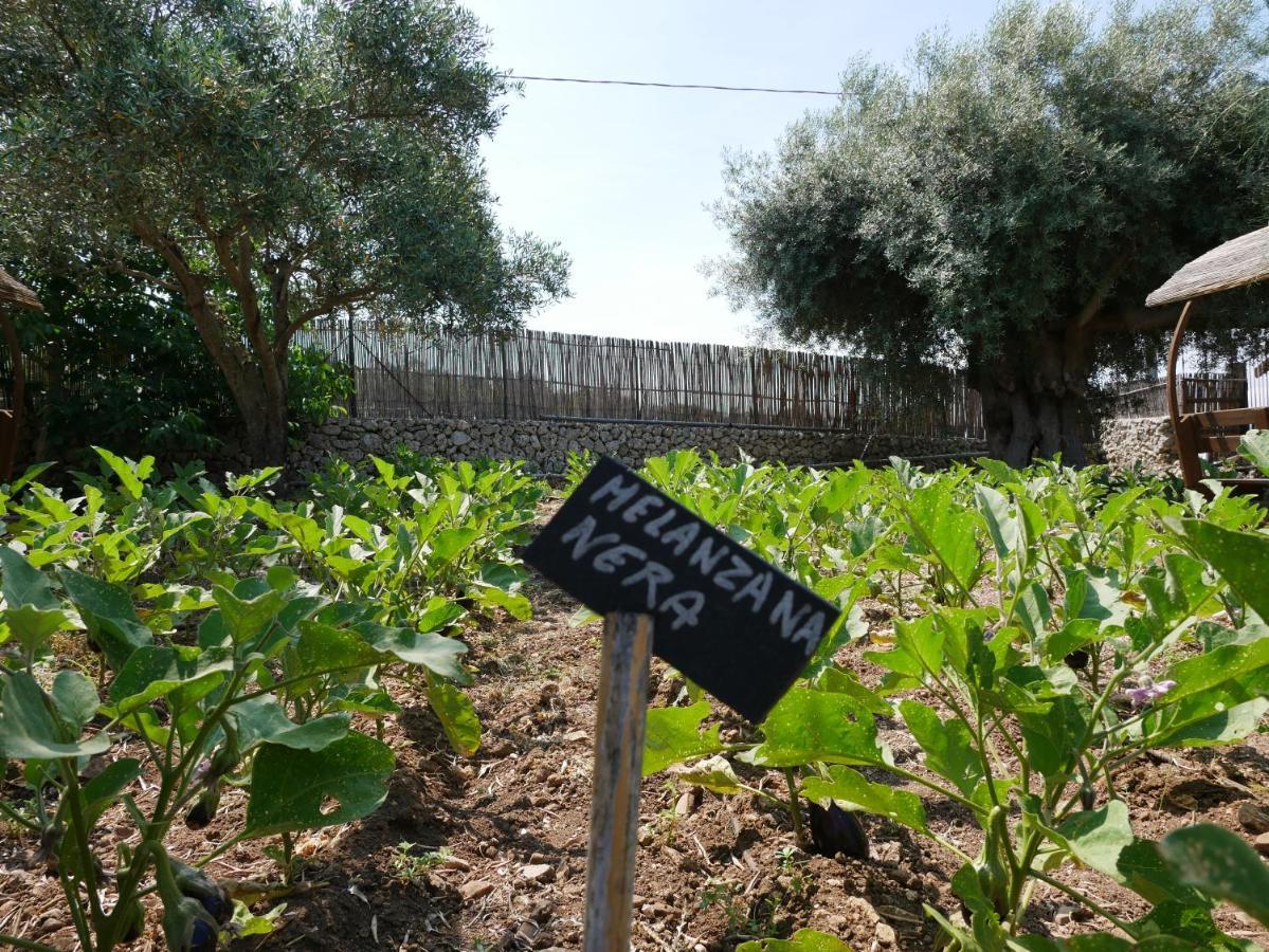 הוילה Sortino Pantalica Ranch Agriturismo Siciliano מראה חיצוני תמונה