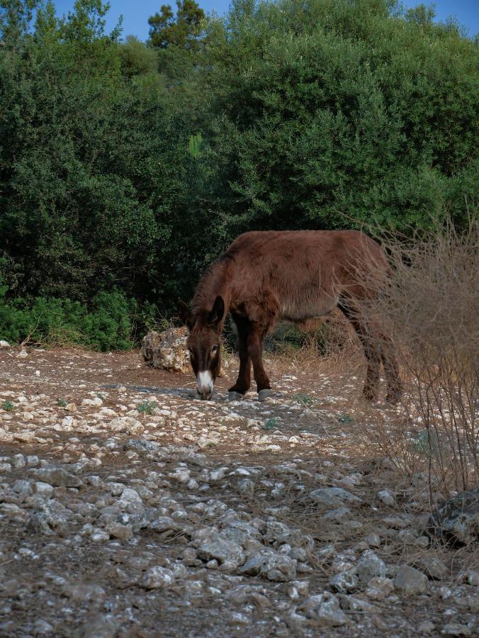 הוילה Sortino Pantalica Ranch Agriturismo Siciliano מראה חיצוני תמונה