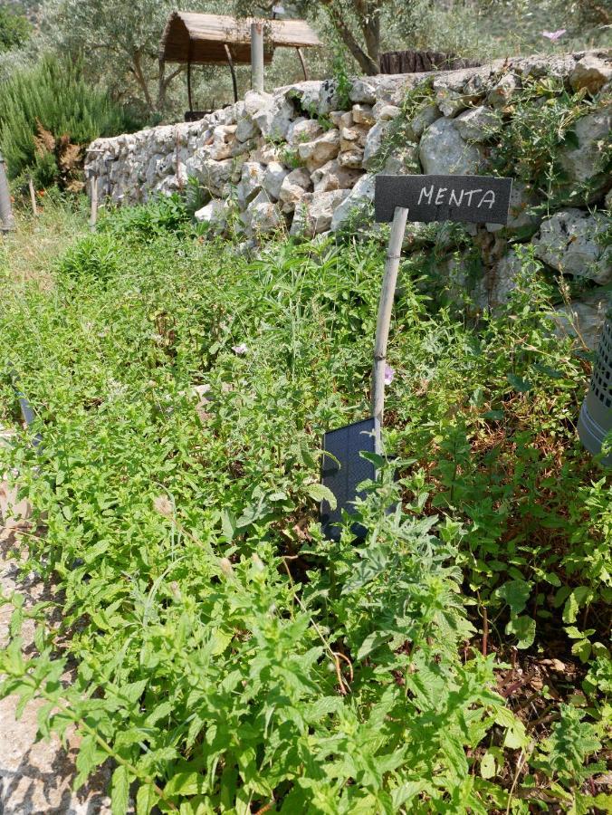 הוילה Sortino Pantalica Ranch Agriturismo Siciliano מראה חיצוני תמונה
