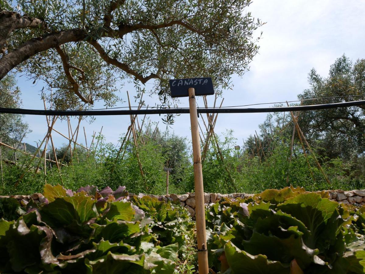 הוילה Sortino Pantalica Ranch Agriturismo Siciliano מראה חיצוני תמונה