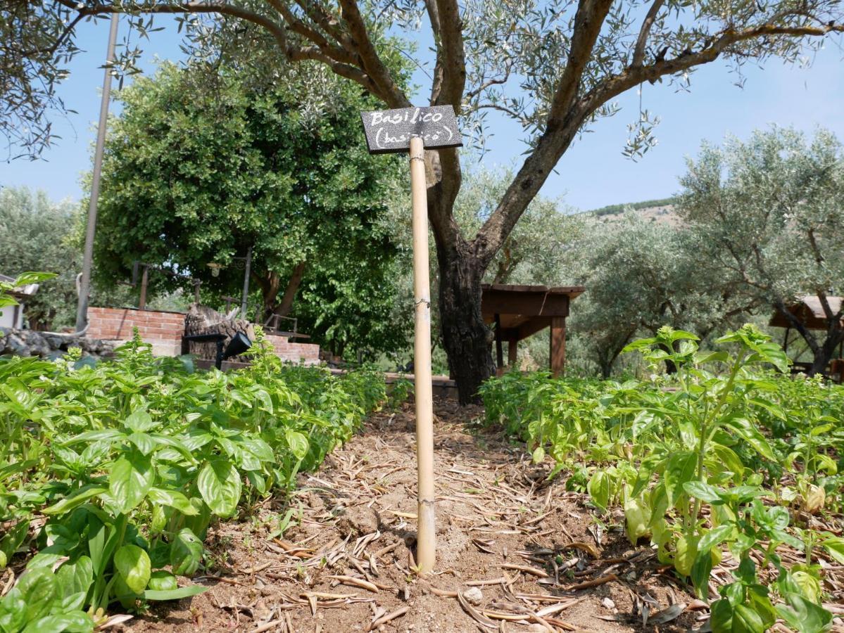 הוילה Sortino Pantalica Ranch Agriturismo Siciliano מראה חיצוני תמונה